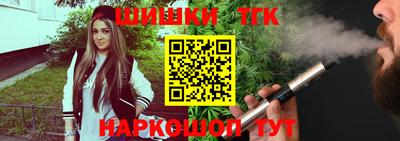 мдпв Бийск