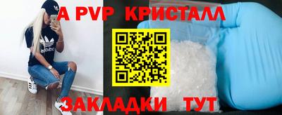 мдпв Бийск