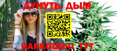 мдпв Бийск